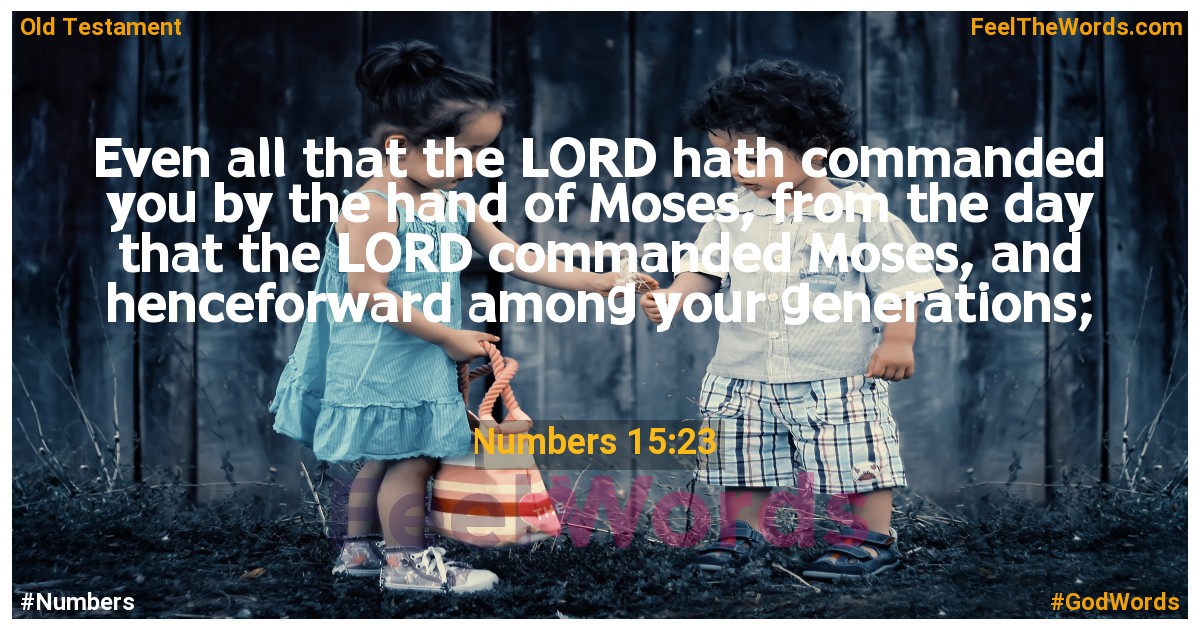 Numbers 15:23