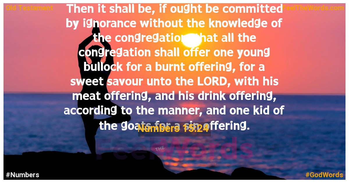 Numbers 15:24