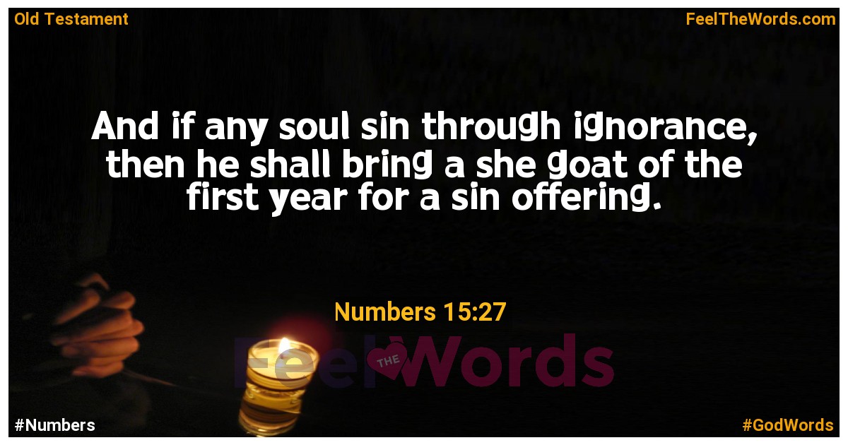 Numbers 15:27