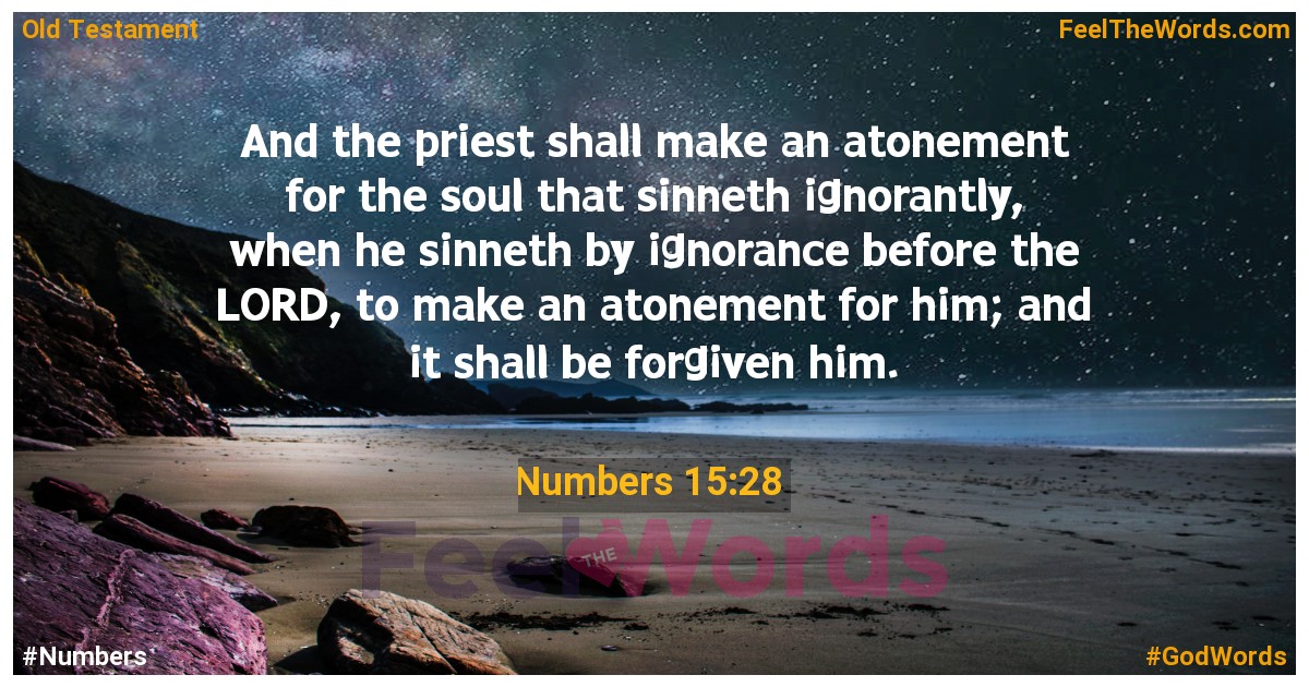 Numbers 15:28