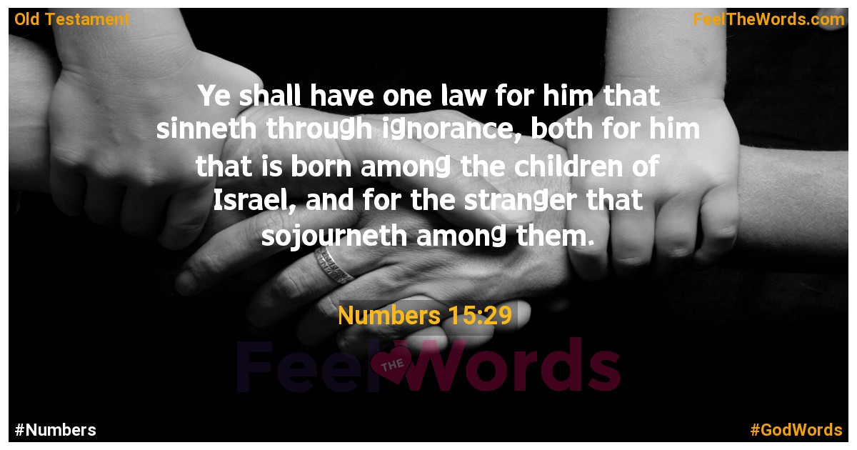 Numbers 15:29