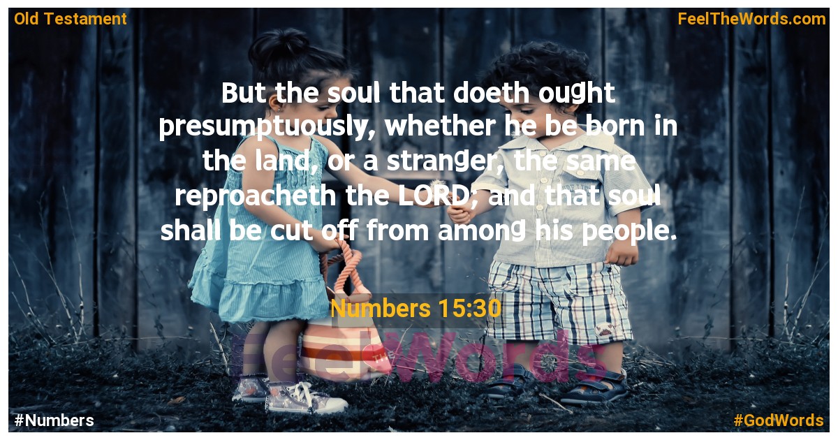 Numbers 15:30