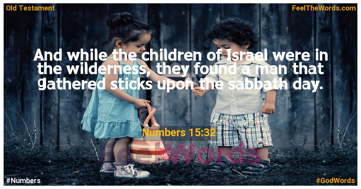 Numbers 15:32