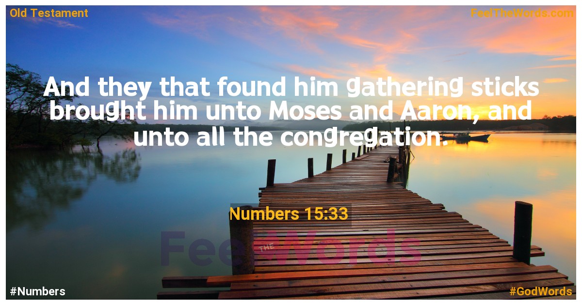 Numbers 15:33