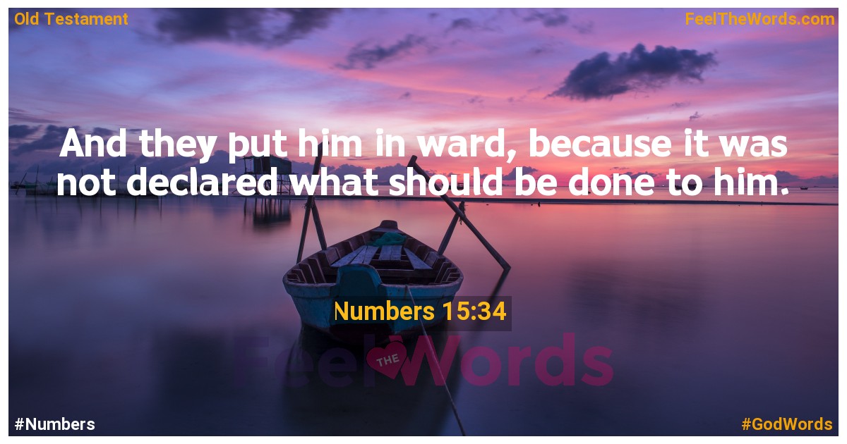 Numbers 15:34