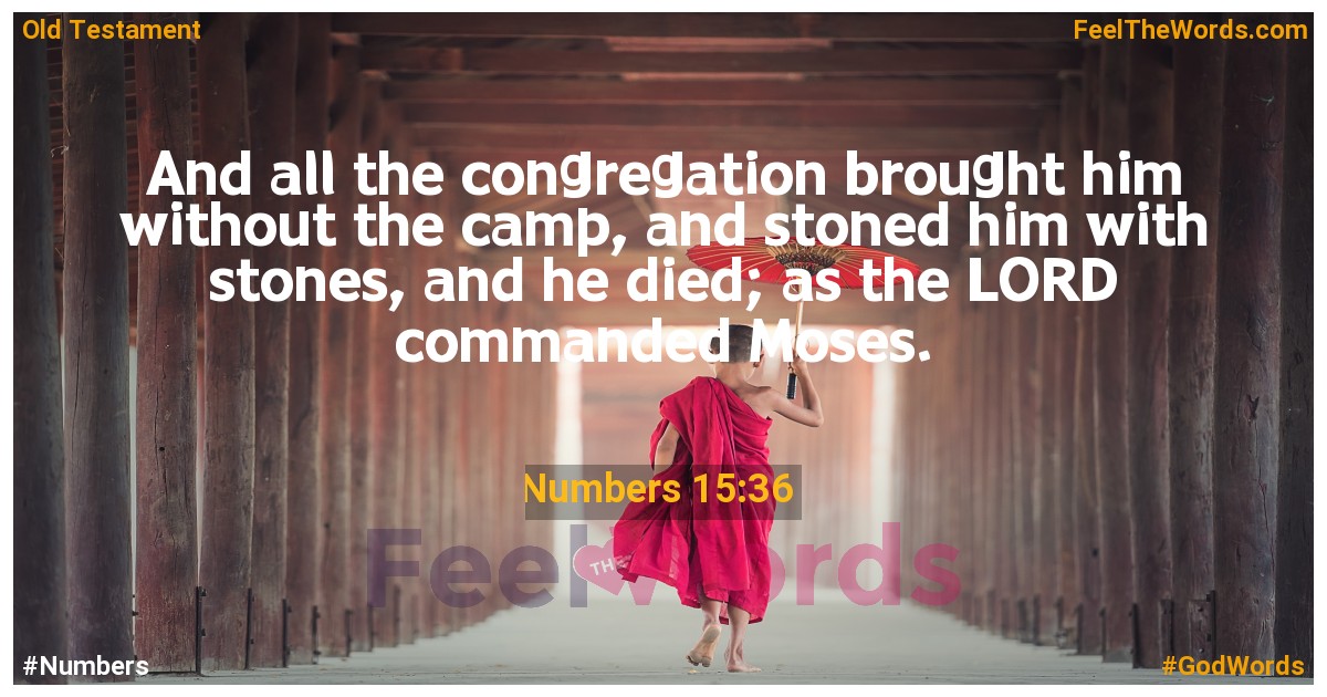 Numbers 15:36