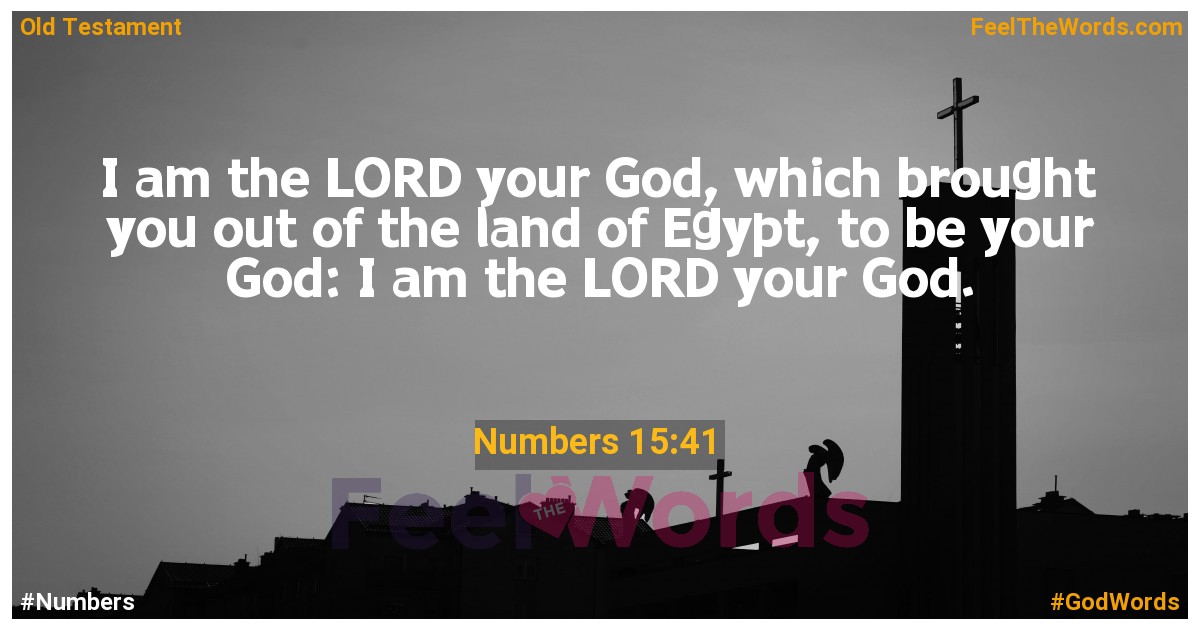 Numbers 15:41