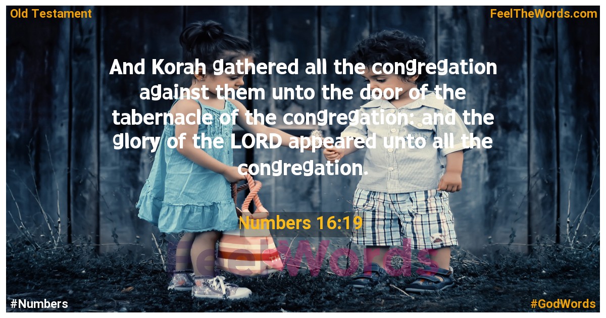 Numbers 16:19