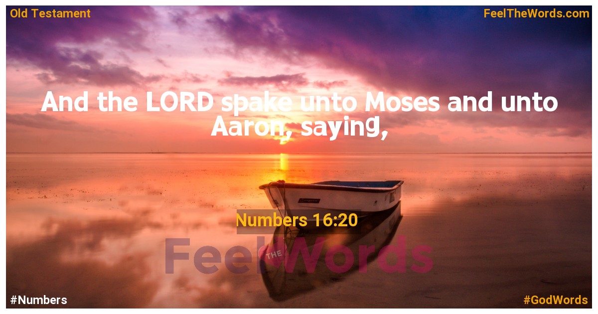 Numbers 16:20