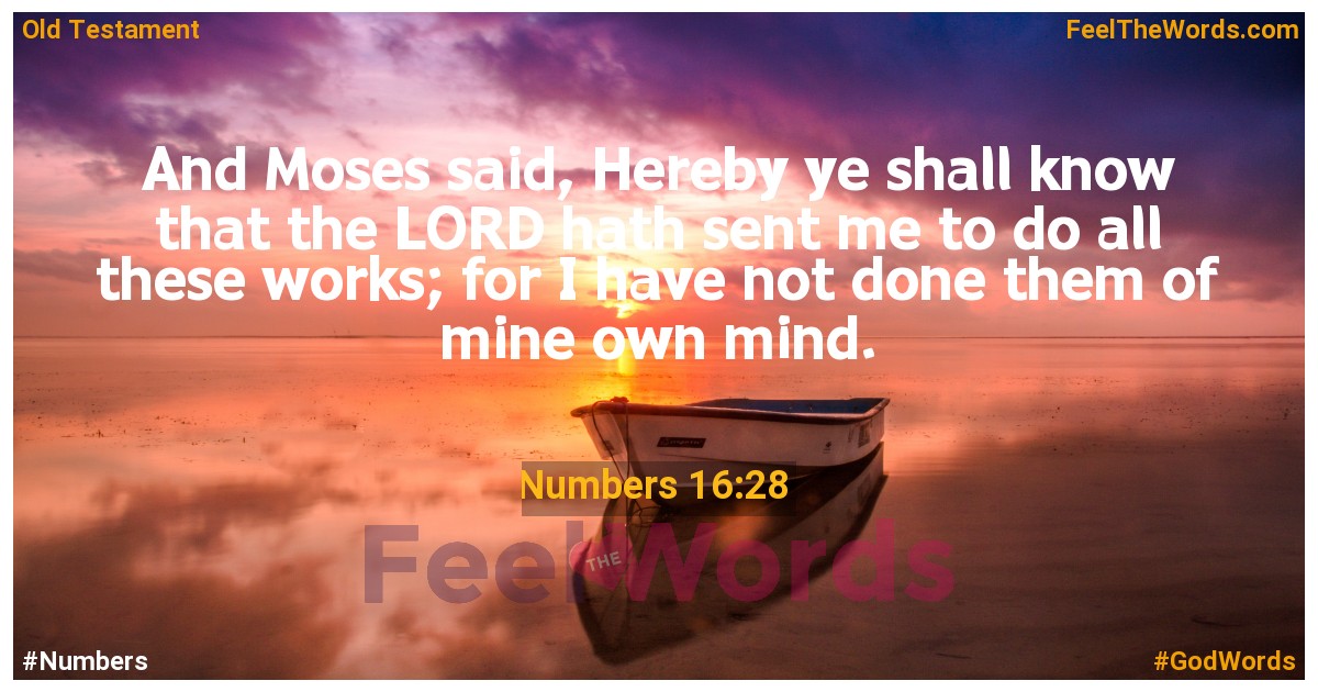 Numbers 16:28