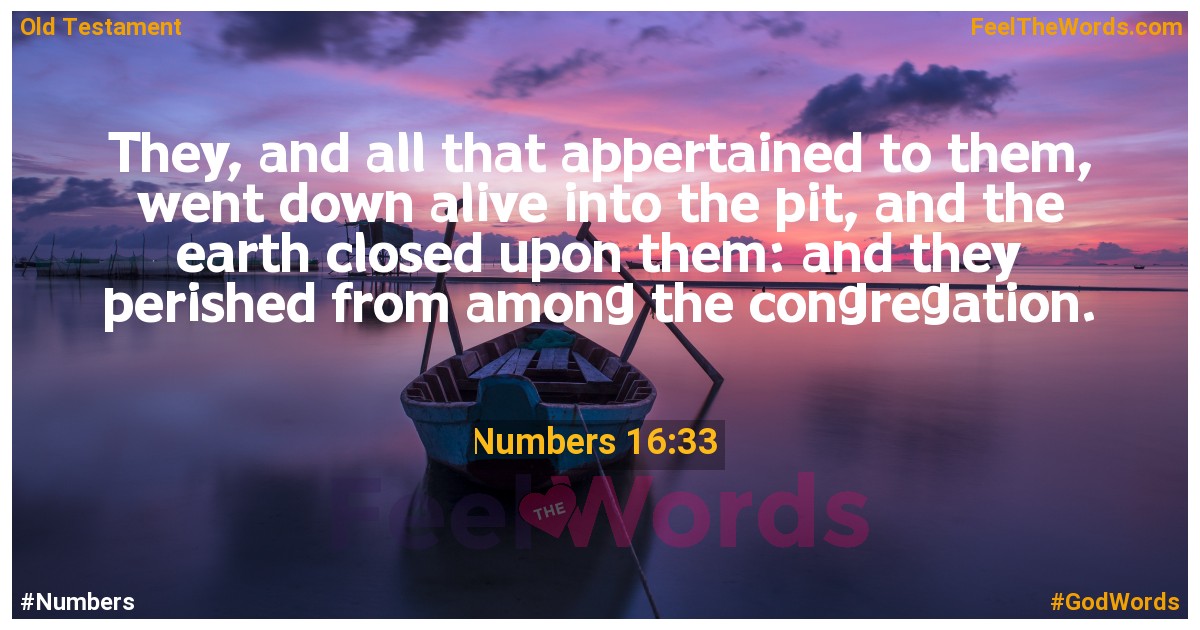 Numbers 16:33