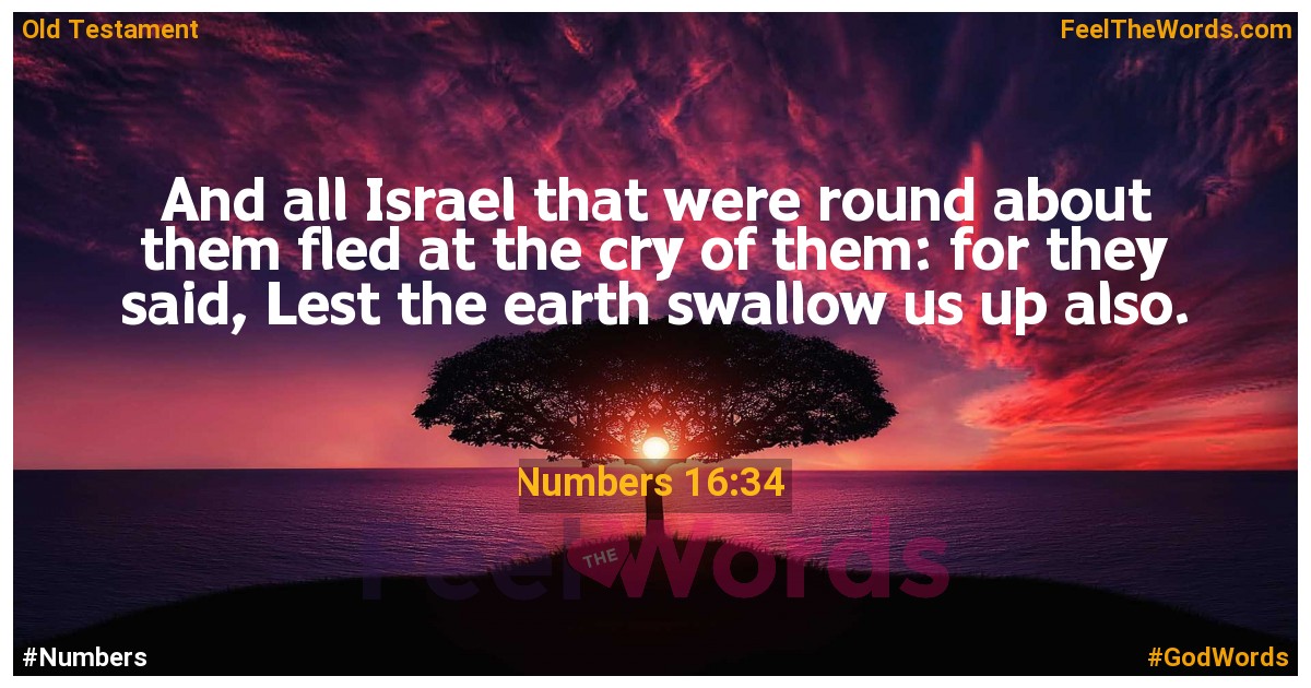 Numbers 16:34