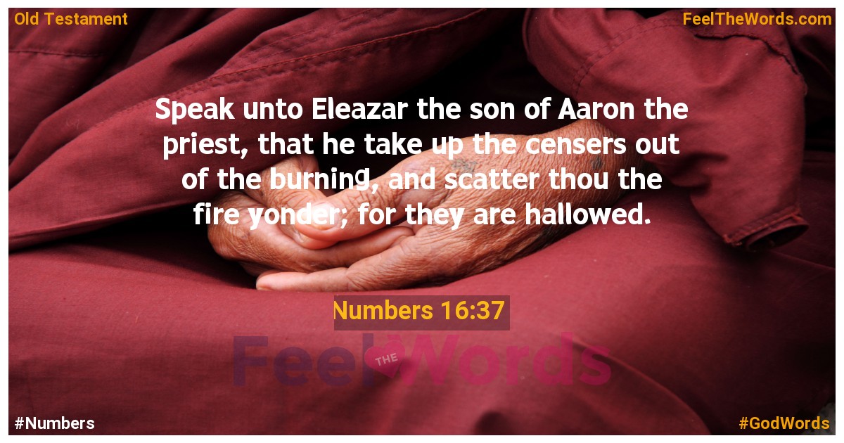 Numbers 16:37