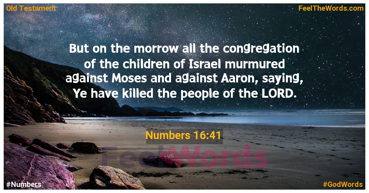 Numbers 16:41