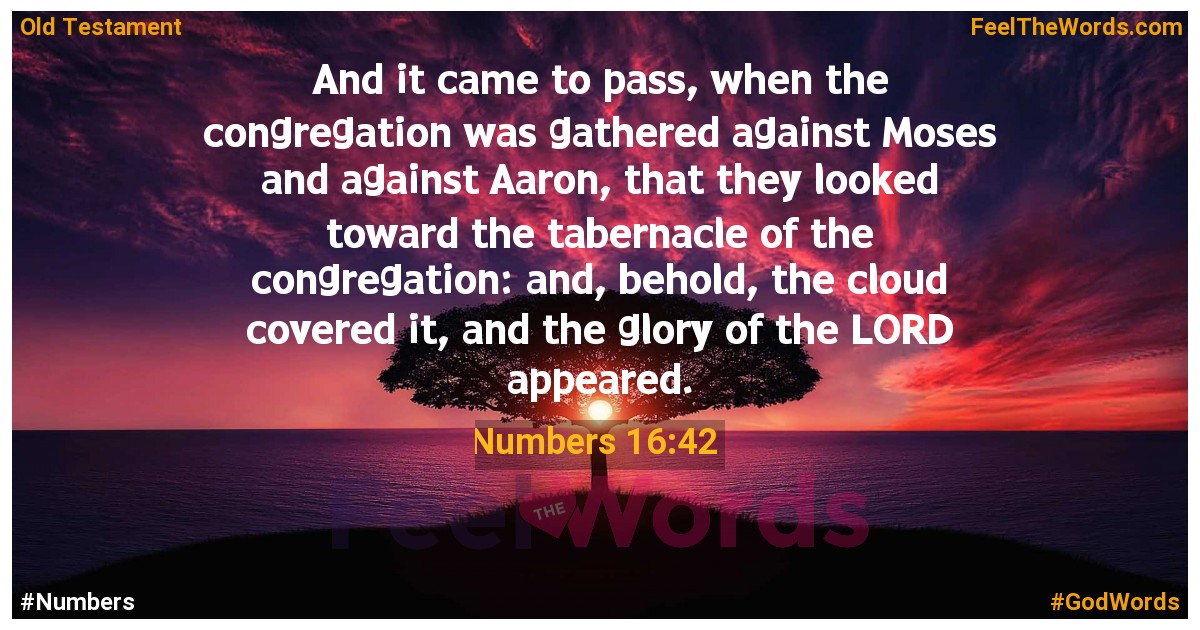 Numbers 16:42