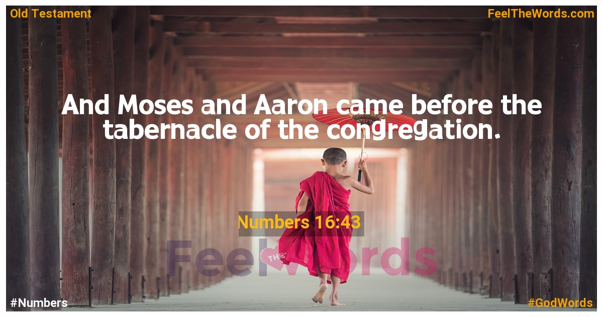 Numbers 16:43
