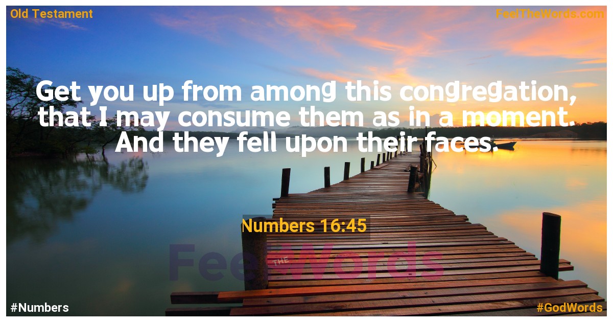 Numbers 16:45