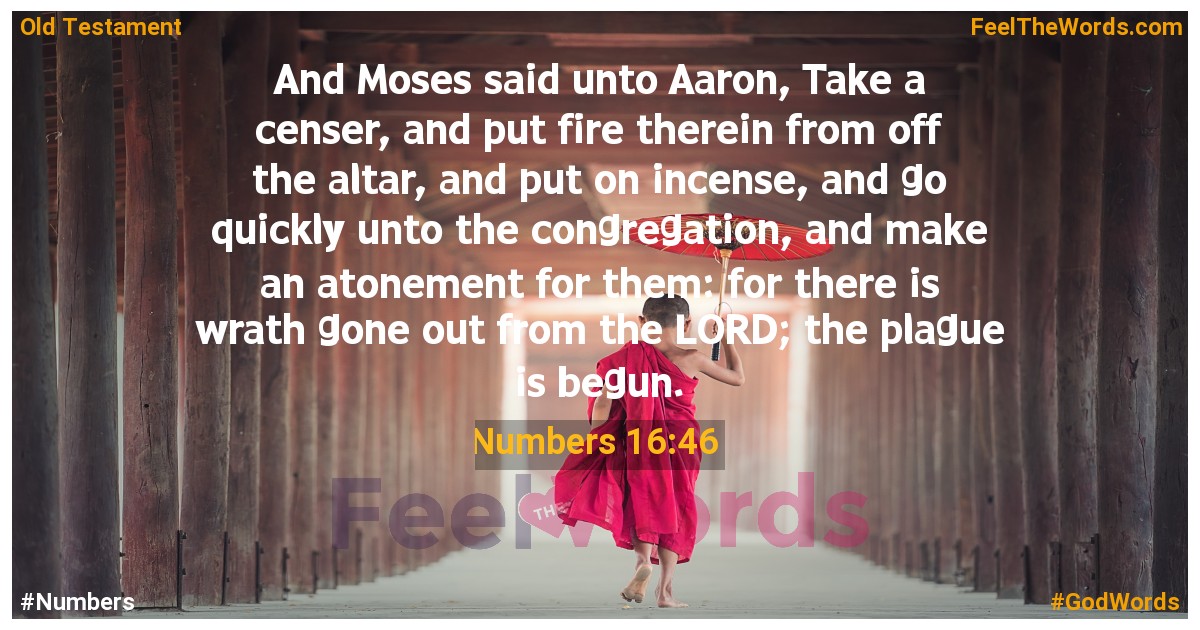 Numbers 16:46