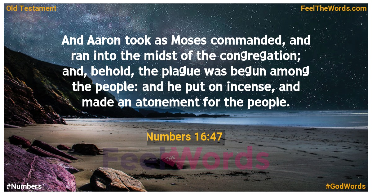 Numbers 16:47