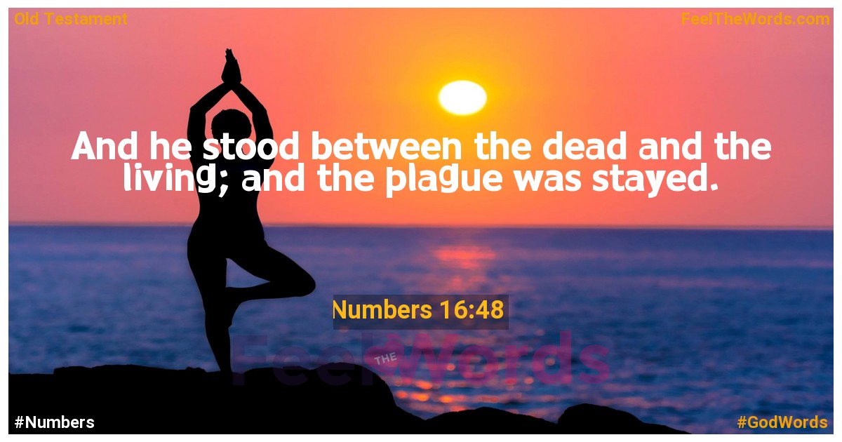Numbers 16:48