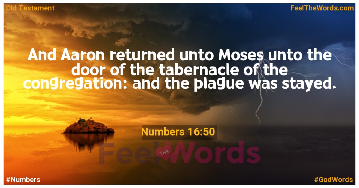 Numbers 16:50