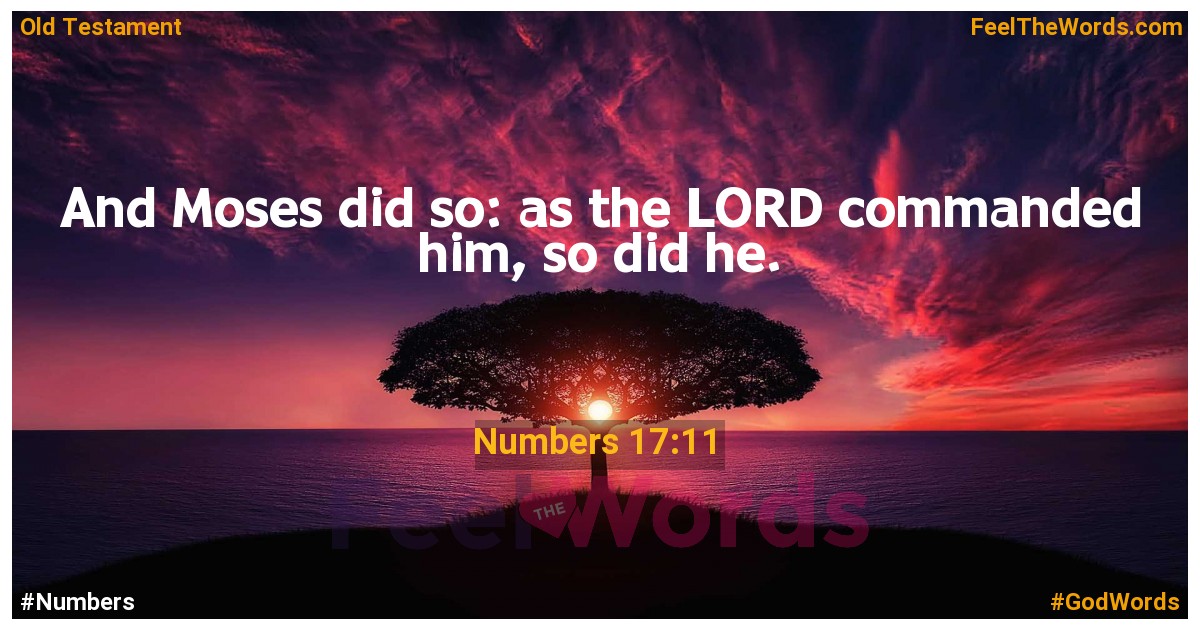 Numbers 17:11