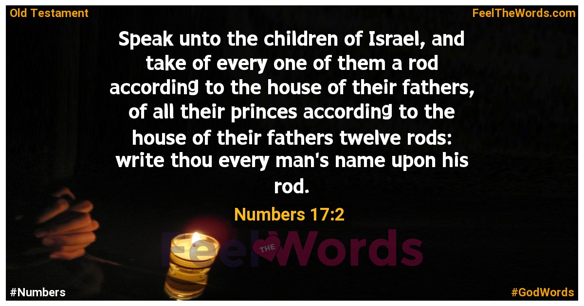 Numbers 17:2