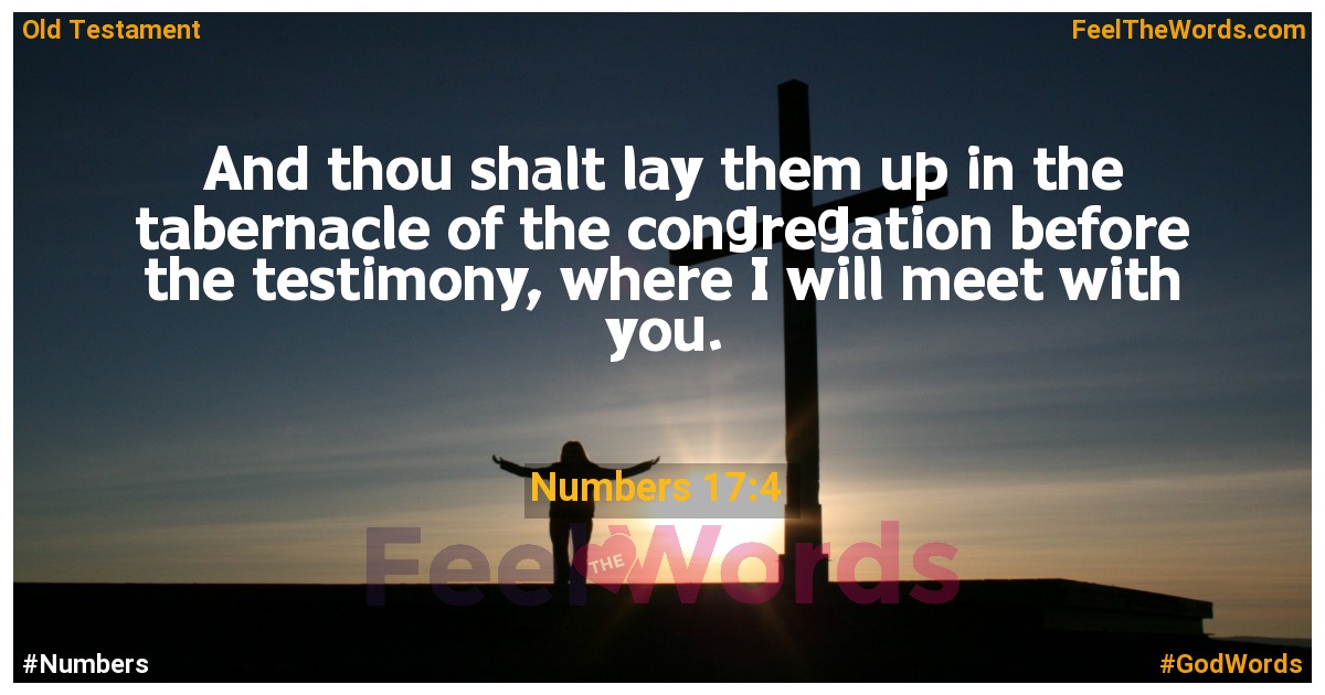 Numbers 17:4