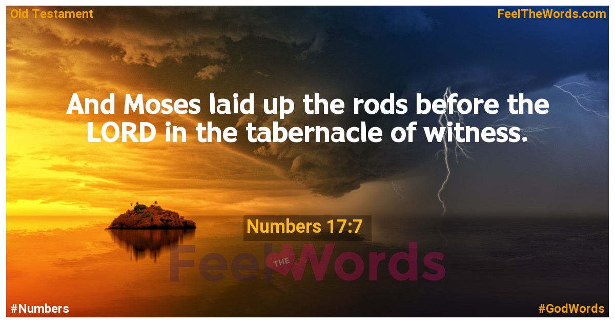 Numbers 17:7