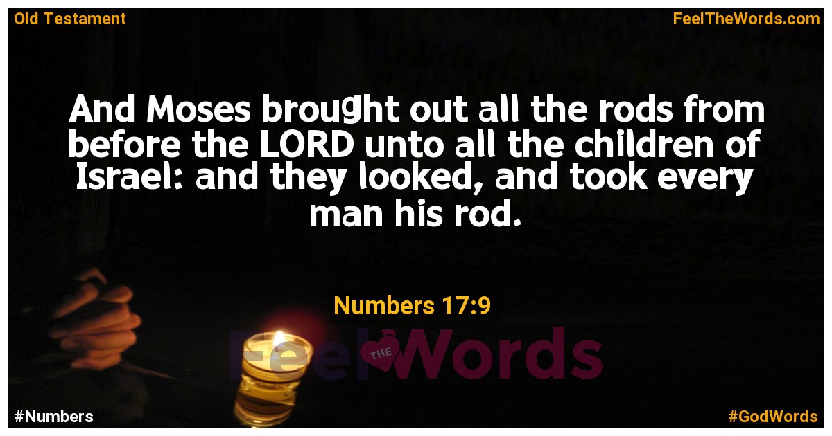 Numbers 17:9