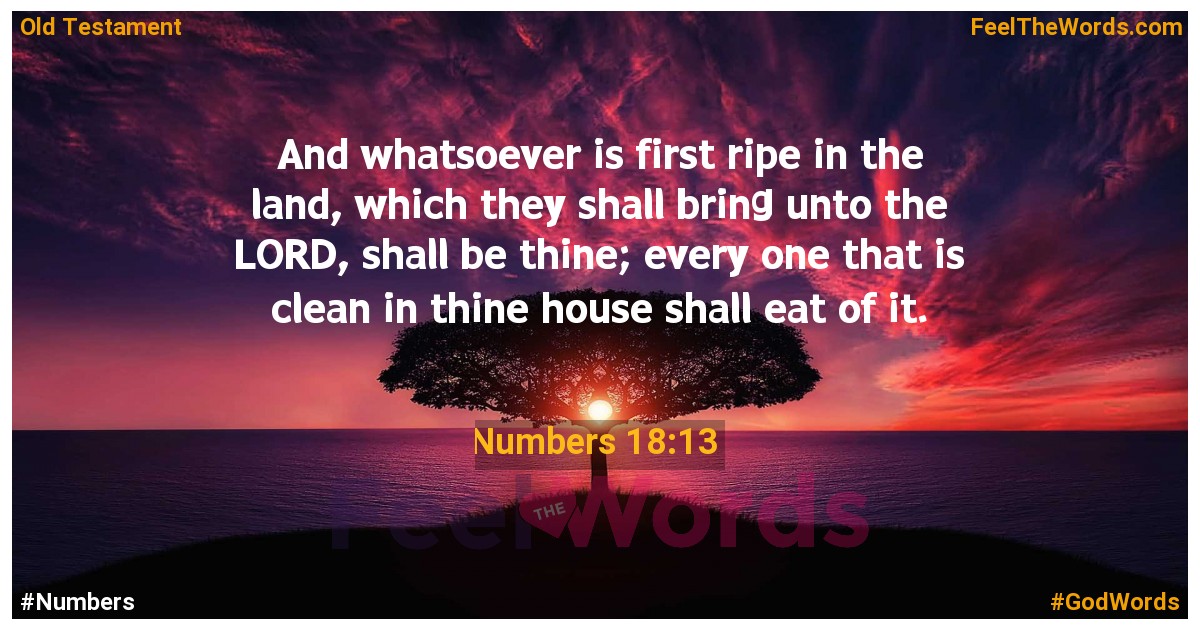 Numbers 18:13
