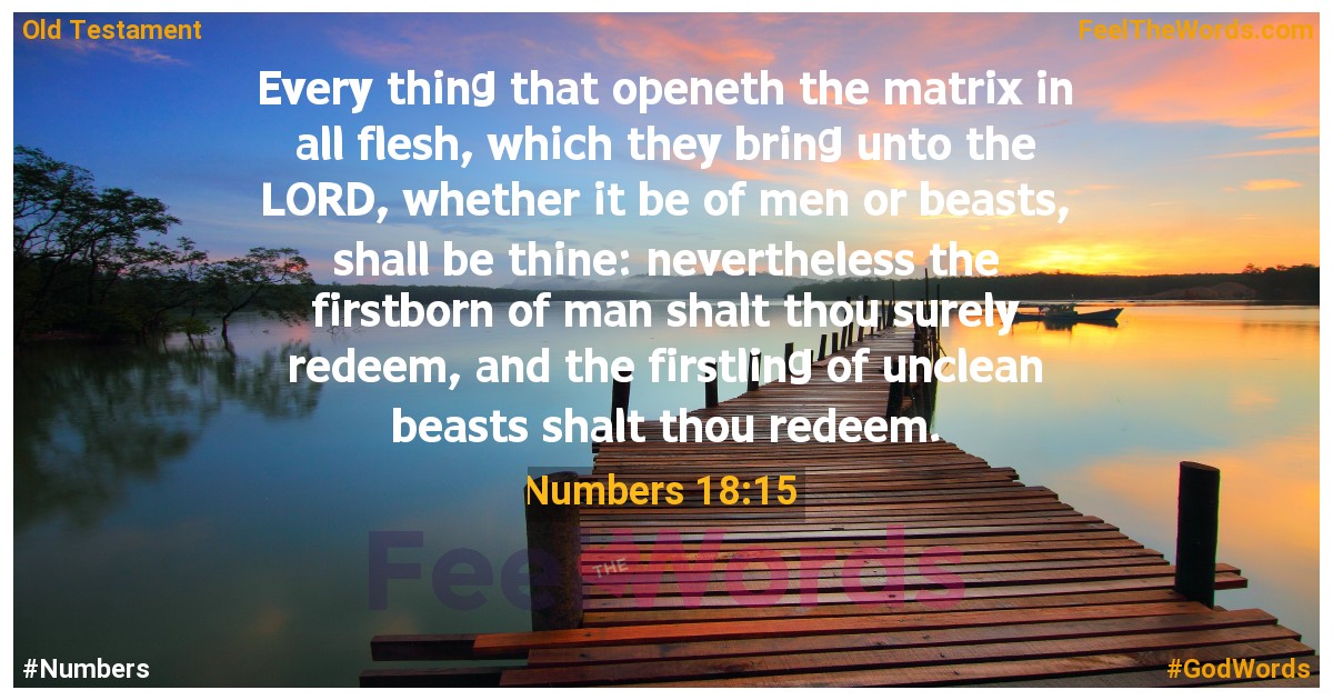 Numbers 18:15
