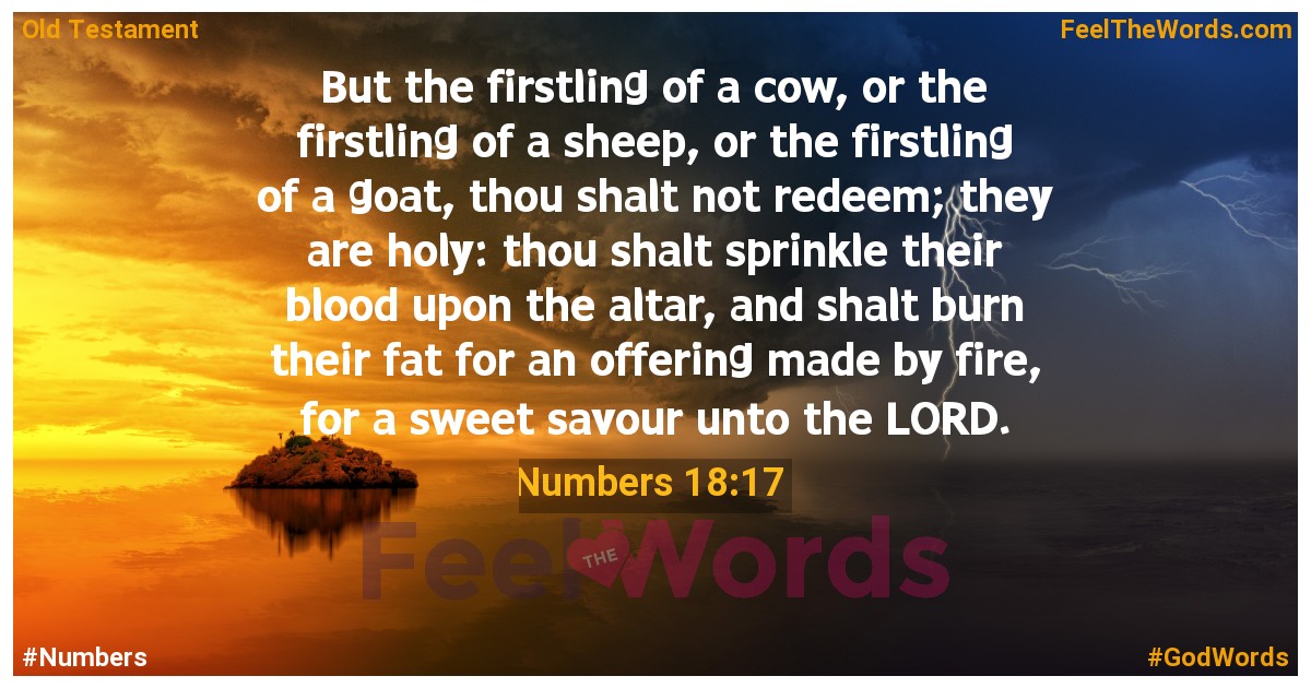 Numbers 18:17