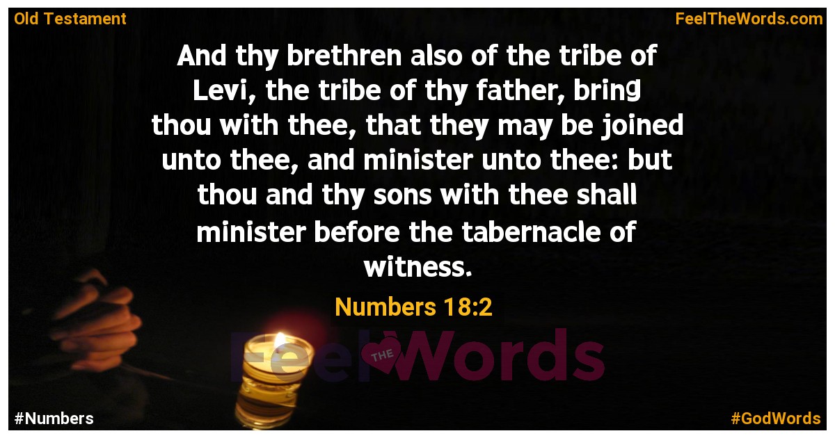 Numbers 18:2