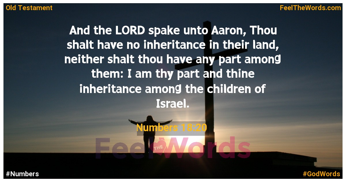 Numbers 18:20