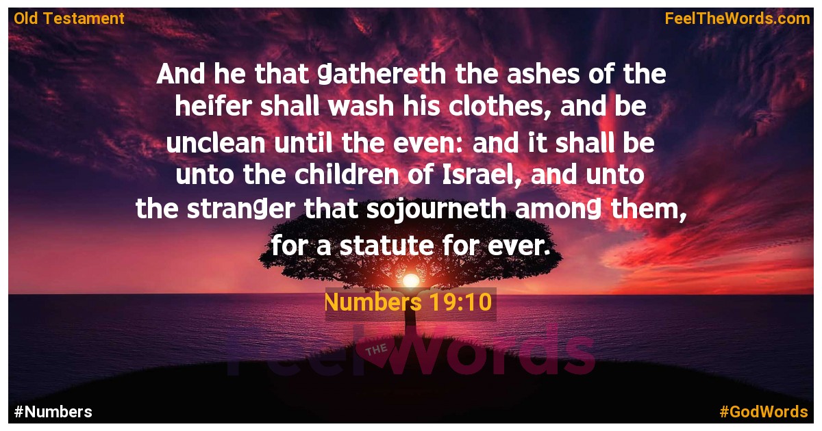 Numbers 19:10