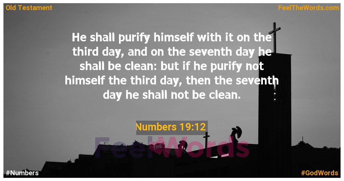 Numbers 19:12