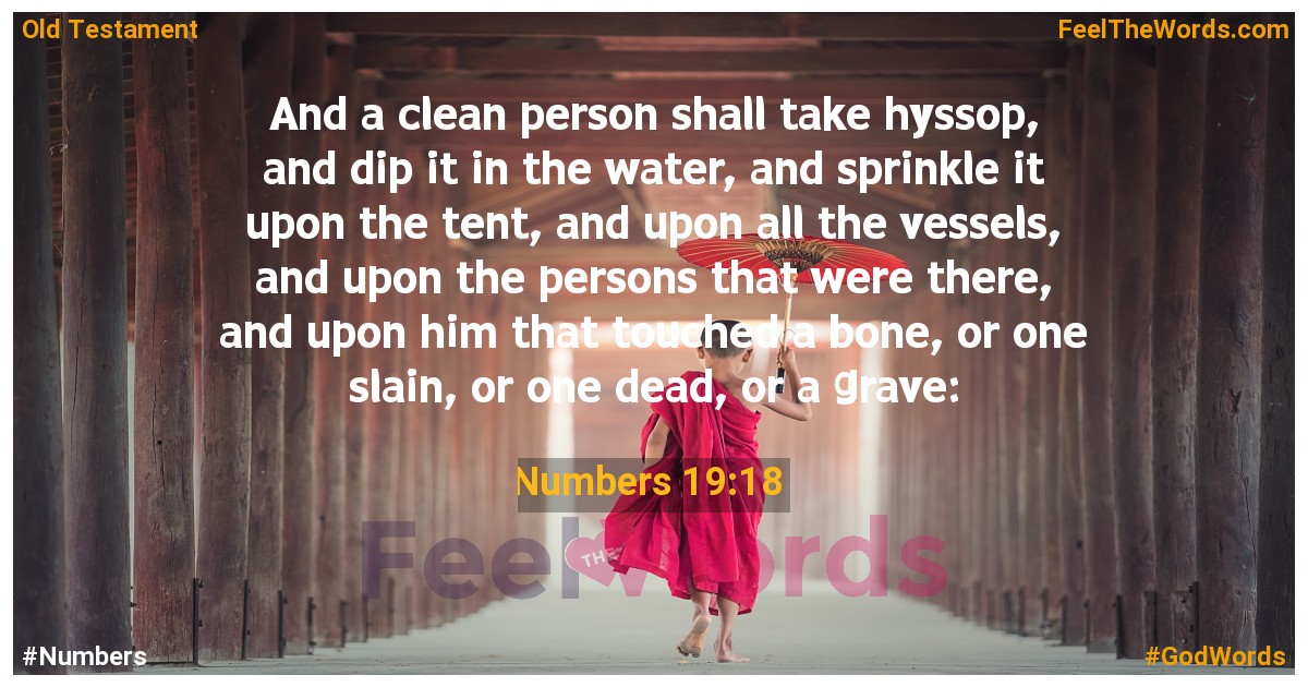 Numbers 19:18