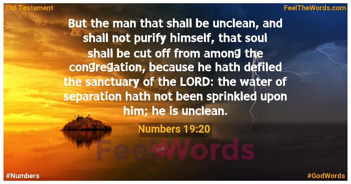 Numbers 19:20