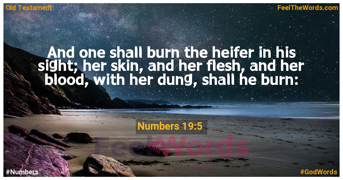 Numbers 19:5