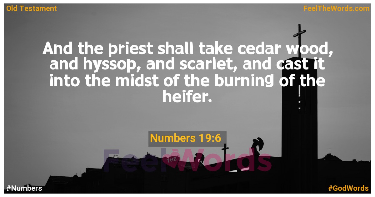 Numbers 19:6