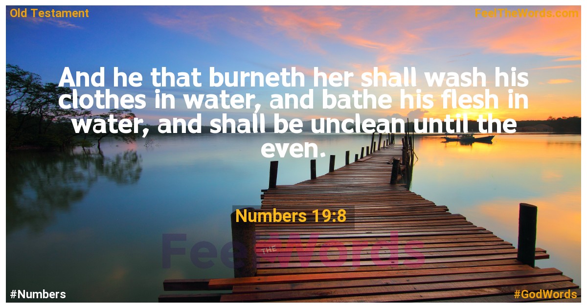 Numbers 19:8