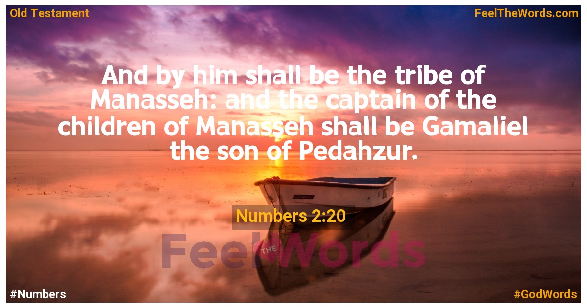 Numbers 2:20