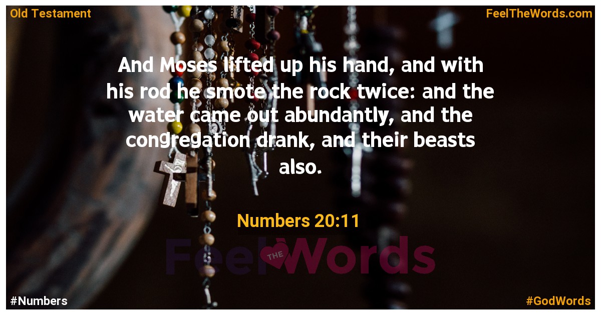Numbers 20:11