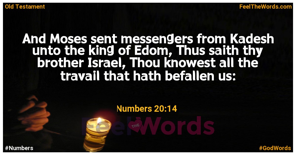Numbers 20:14