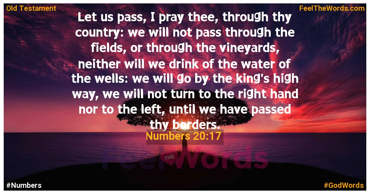 Numbers 20:17