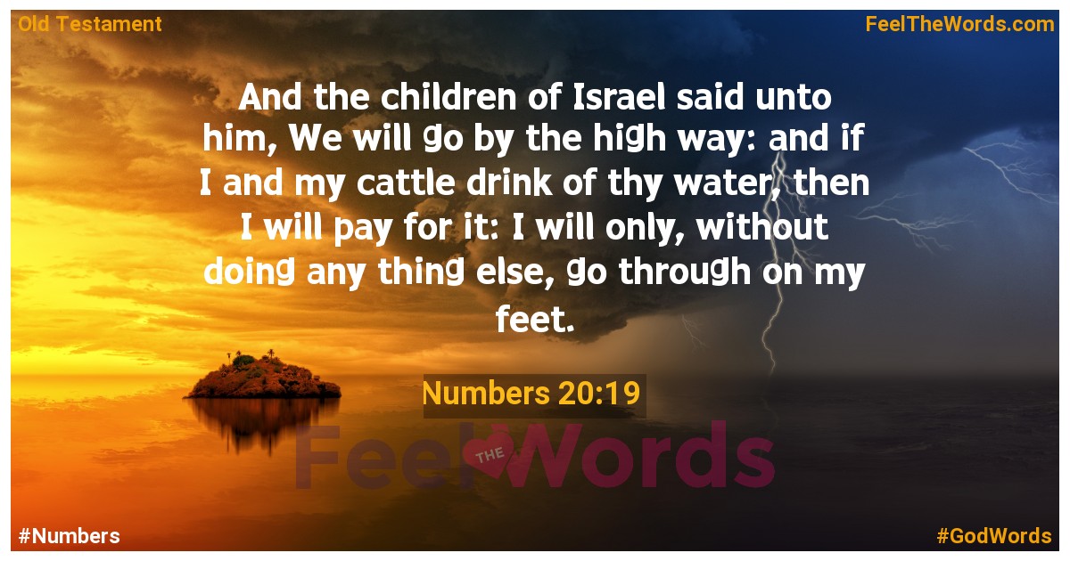 Numbers 20:19