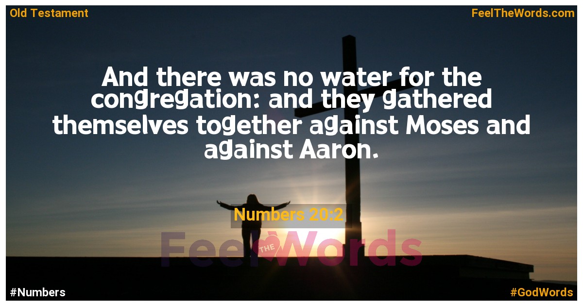 Numbers 20:2