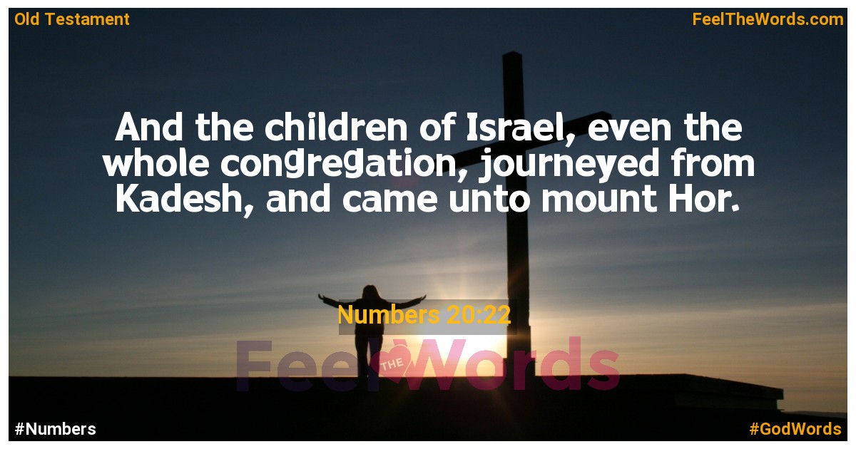 Numbers 20:22