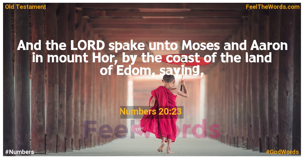 Numbers 20:23